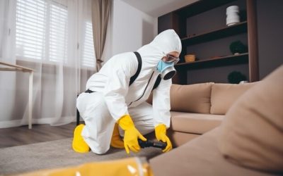 Household Fumigation Services