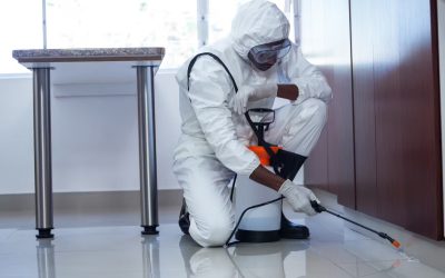 Office Fumigation Services